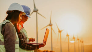 Windmill Inspection