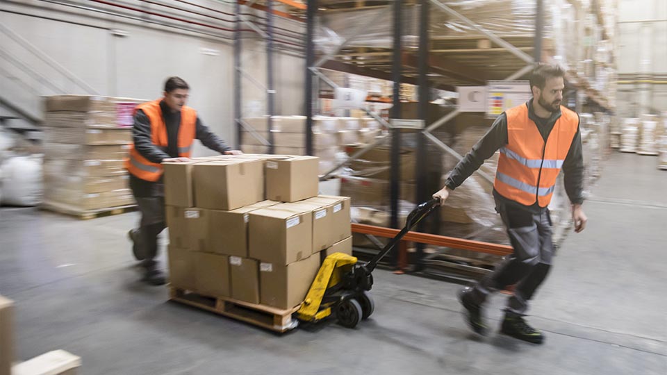 Factory Loading Workers