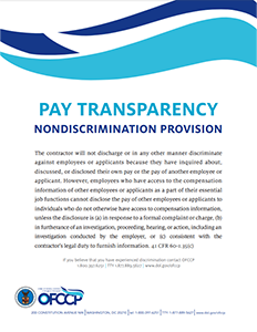 Ofccp Pay Transparency Policy Statement 232x300