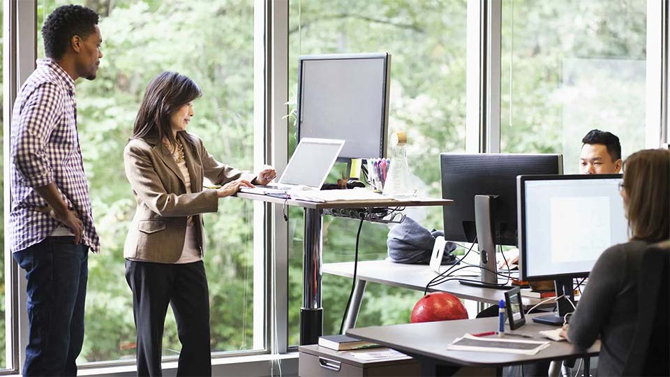 Employees at office displaying ergo solutions