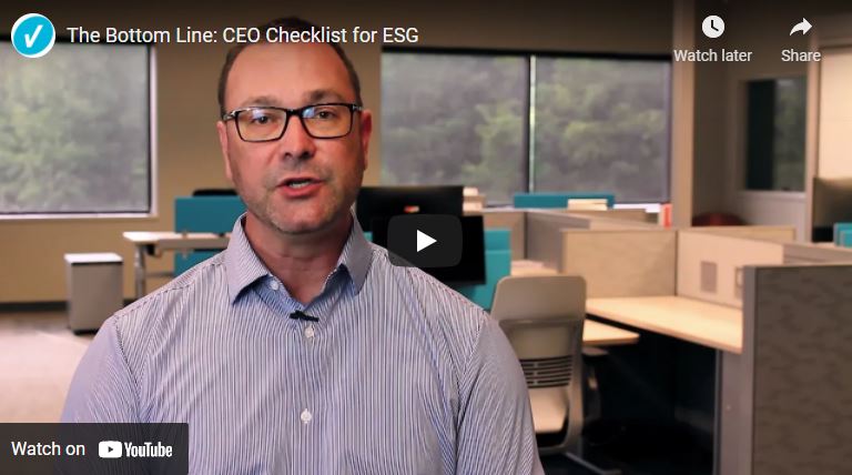 CEO Checklist Image
