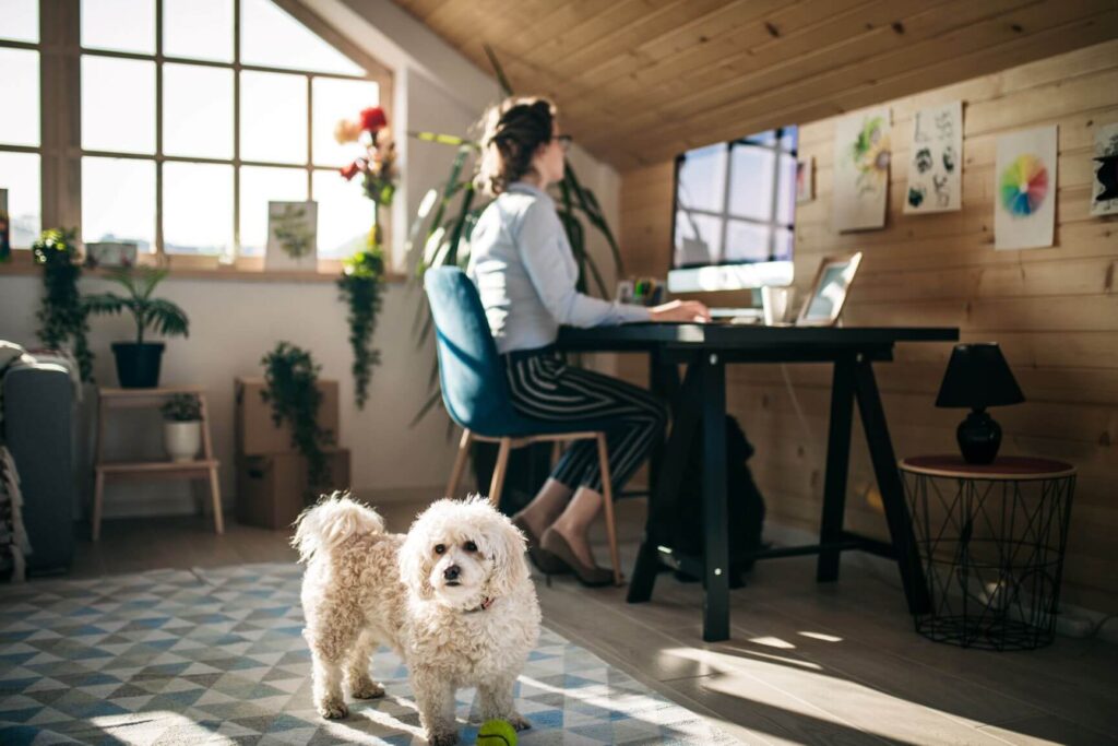 Work From Home With Puppy