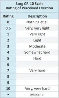 Borg Cr 10 Scale Blog Post Image