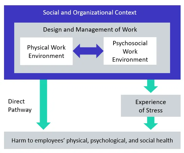 Psyhosocial Risks