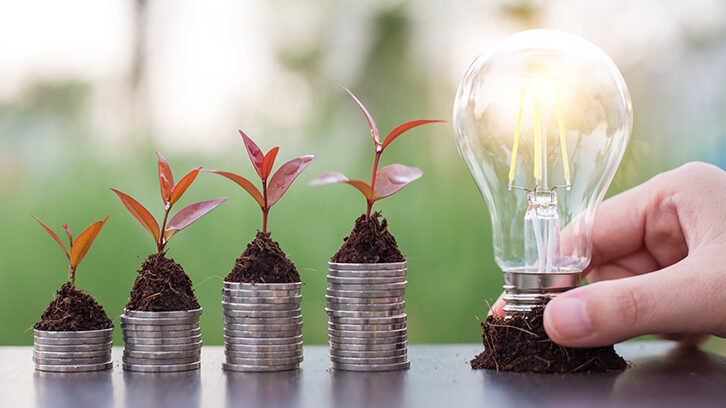 Hand holding bulb with 4 plants on soil