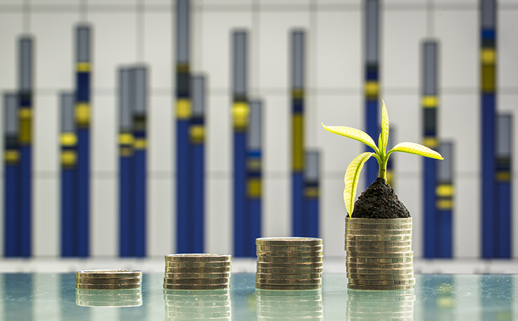 Plant On top of Coins