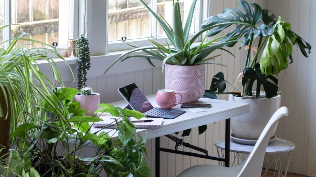 Home Office Desk With Plants