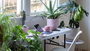 Home Office Desk With Plants