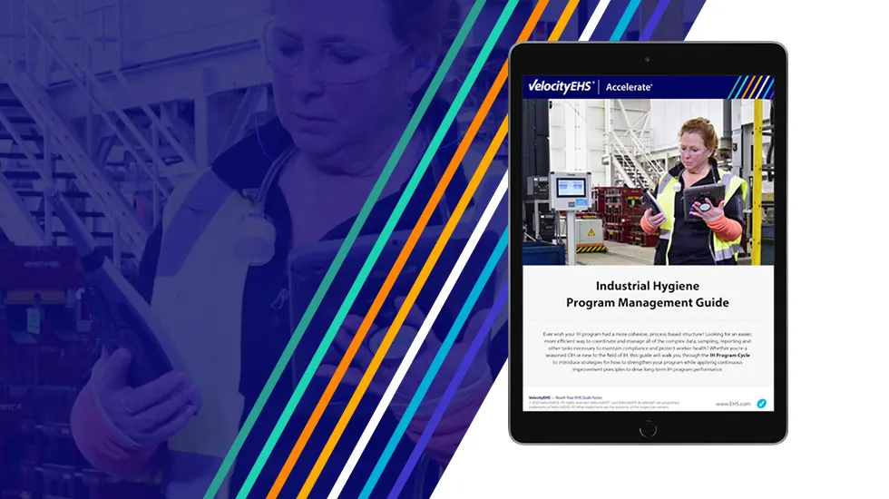 Info Sheet Ih Program Management Guide 980x550px