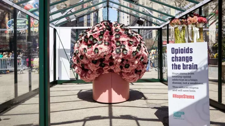 Microsoftteams Image (4)