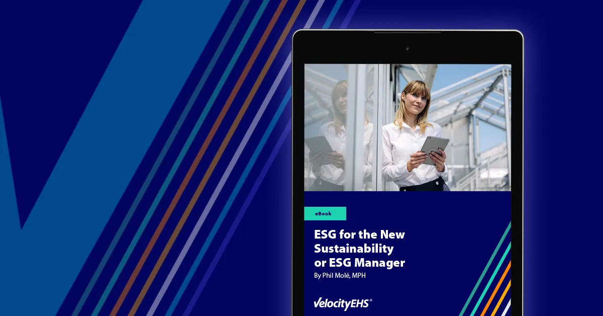 Ebook Esg For The New Sustainability Or Esg Manager Thumb 1200x628px