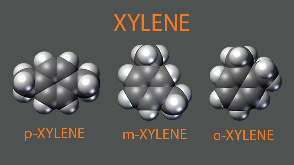 Xylene 3D Chemical Compound